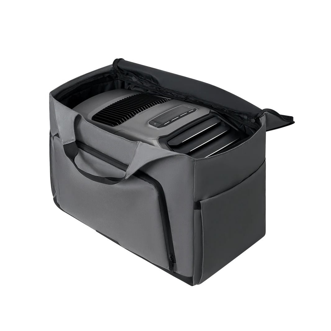EcoFlow Wave Bag