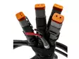 Johtosarja 4 x DT2 - Relejohtosarjat - 8020108320 - 2