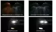 LED-muutossarja sumuvaloihin H10, Osram, Gen2 - Led-muutossarjat - 8020101300 - 3