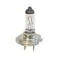 H7 halogen polttimo GE - H7 Halogen-polttimot - 4060101022 - 2