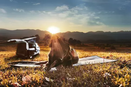 Lämpöalusta lemmikille 70 x 50 cm - Lemmikit - 8020112433 - 2