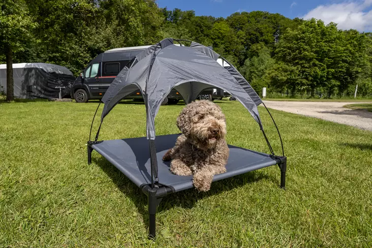 Koiranlepotuoli aurinkosuojalla - Lemmikit - 8020112593 - 1