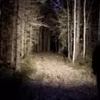 LED-taskulamppu Ledwise Saint - Taskulamput - 8020103674 - 8