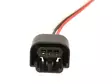 H13 lampunkanta - H8, H9, H10, H11, H13, H15, H16 - 8020100936 - 1