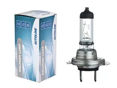 H7 halogen polttimo - H7 Halogen-polttimot - 4060101058 - 1