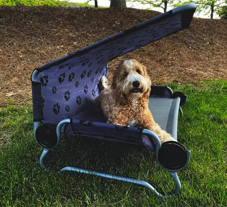 KOIRANSÄNKY Large - Lemmikit - 8020112299 - 2